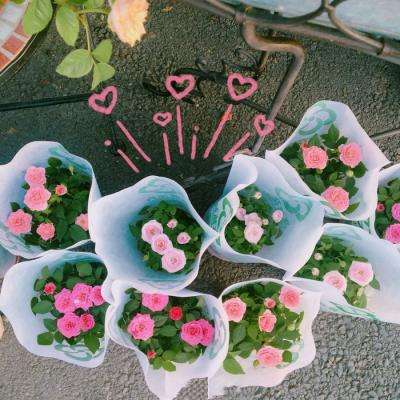 芒果体育下载手机版截图